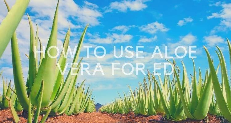 How to Use Aloe Vera for ED